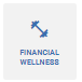 digital banking financial wellness widget
